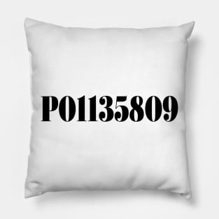 P01135809 Pillow