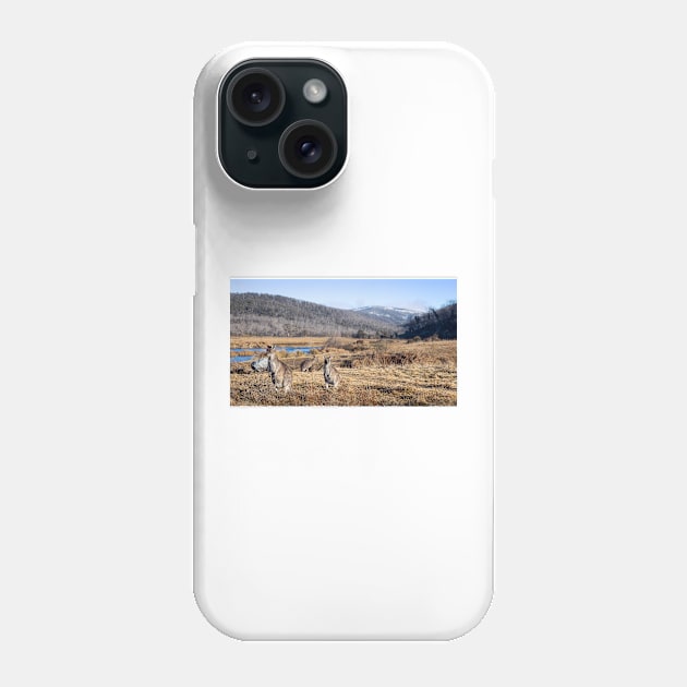 Kangaroos And Mountains Phone Case by Geoff79