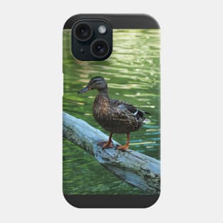 Mallard Duck Standing Ontop Of A Log Phone Case