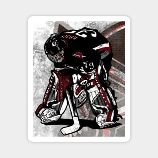 Hasek Focus Art Magnet