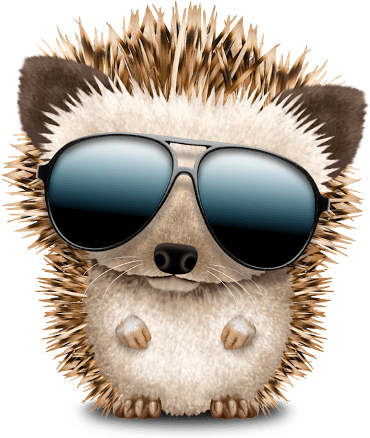 Baby Hedgehog Wearing Sunglasses Kids T-Shirt by jeffbartels