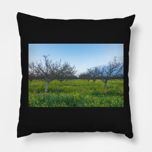 Mustard Field Pillow