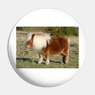 Dartmoor Pony Pin