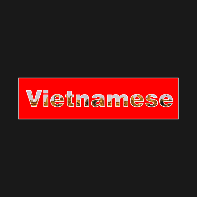 Vietnamese by multylapakID