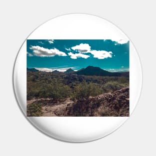 Arizona-Sonora Desert Pin