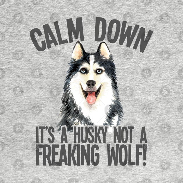 Siberian Husky - Calm Down Its A Husky Not A Freaking Wolf - Siberian Husky - T-Shirt