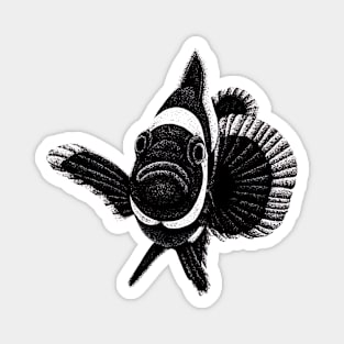 Black ocellaris clownfish illustration Magnet