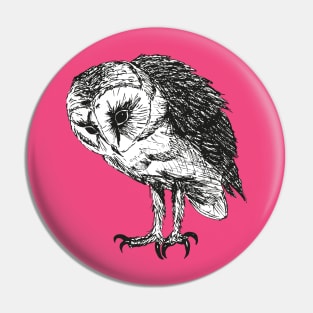 Barn owl pen drawing Pin