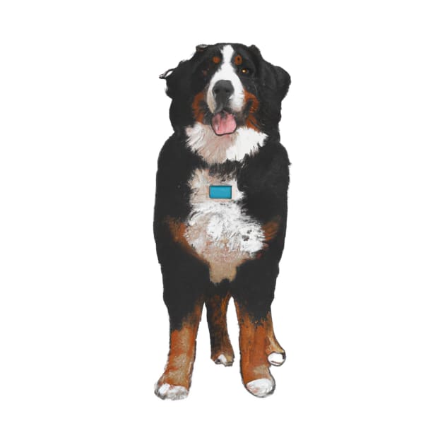 Cute Bernese Mountain Dog Drawing by Play Zoo