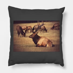 Wild life design Pillow