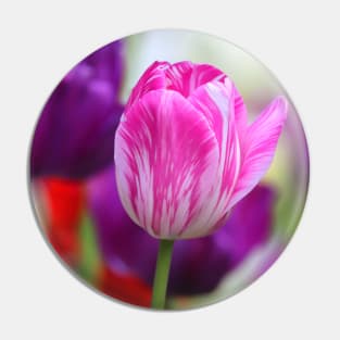 Pink & White Tulip Pin