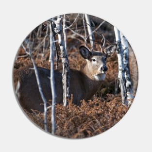 White-tailed Deer Pin