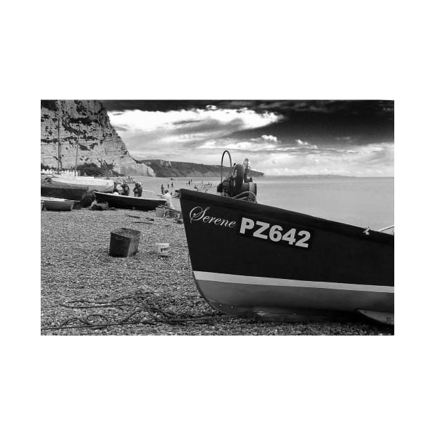 Beer beach Jurassic Coast Devon England by AndyEvansPhotos