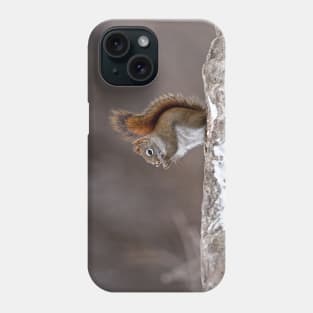 Red Squirrel Phone Case