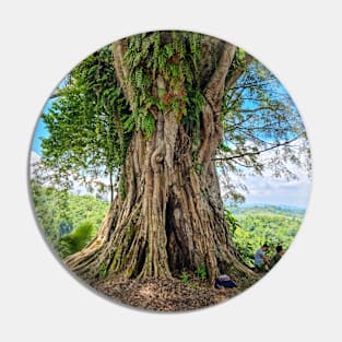 Beautiful Old Balete Tree, Philippines Pin