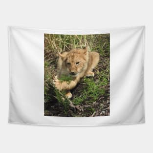 Lion Cub Tapestry