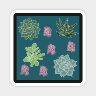 Succulent Pattern Teal with White Lines Magnet