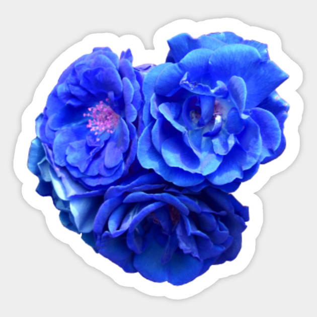 Blue Flowers