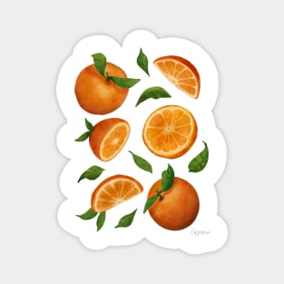 Oranges Citrus Fruit Halves and Slices Magnet