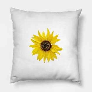 Sunflower Pillow