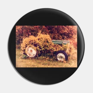 Wild Ride Pin