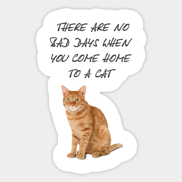 Come Home To A Cat T Shirt V2 Come Home To A Cat Sticker