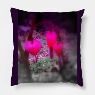 red bleeding hearts #4, tinted Pillow