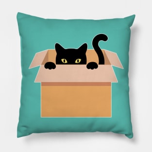 Cat in a box Pillow