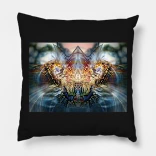 Papilio machaon Pillow
