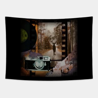 Horror movie vintage retro aesthetic cottagecore surrealism landscape nature fantastic fantasy Halloween deer orange camera creepy spooky vinyl music Tapestry