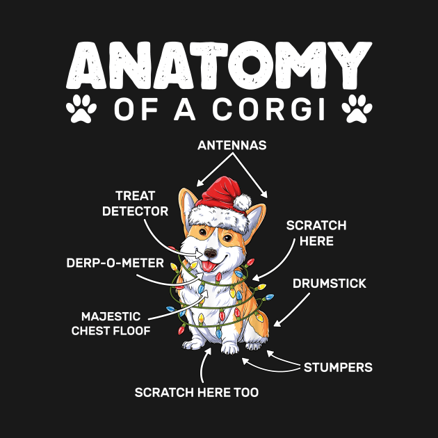 Corgi Anatomy by printee