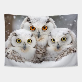 Owl Animal Bird Beauty Freedom Wilderness Enchanting Tapestry