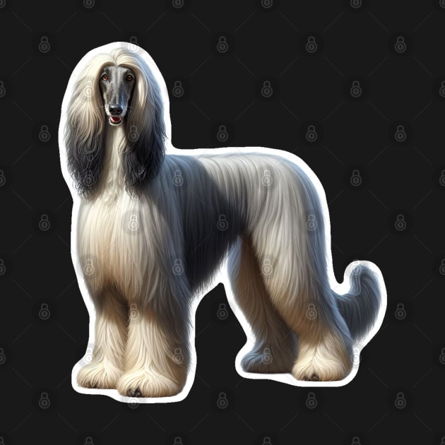 Afghan Hound by millersye