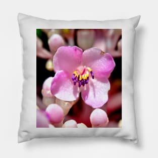 Lone Pink Flower Bloom Pillow