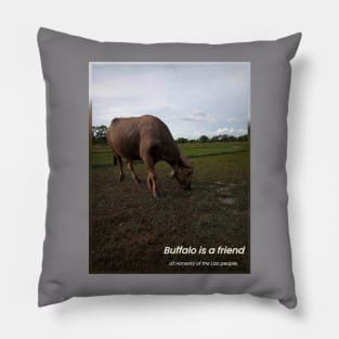 Buffalo Pillow