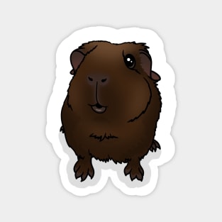 Chocolate Brown Guinea Pig Magnet