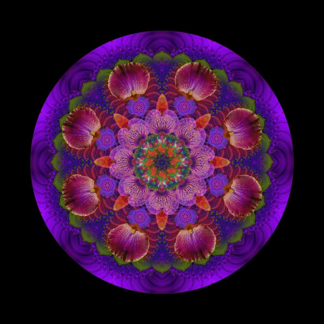 Mandala Magic - Daily Focus 12.31.2021 B by Mandala Magic