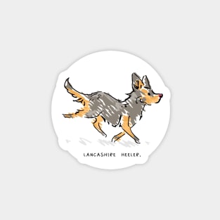 Lancashire Heeler Magnet