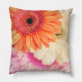 Daisy - Golden on Pink Pillow