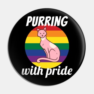 Purring With Gay Pride Cat Vintage Retro Sunset Pin