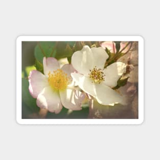 Just Call Us Dog Roses Magnet