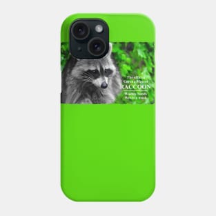 Corona mascot - Raccoon Phone Case