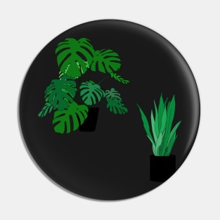 HOUSE PLANTS Pin