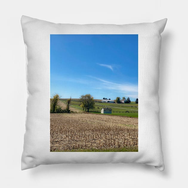 York County Farmland Pillow by andykazie