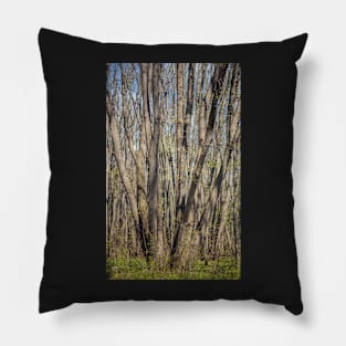 Hornbeam forest Pillow