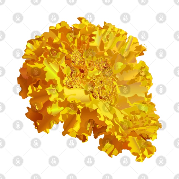 Yellow Marigold by TinaGraphics