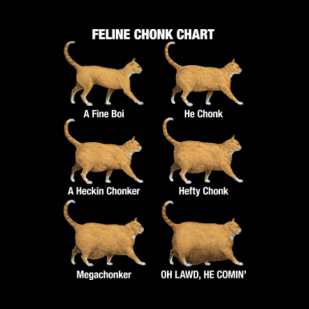 chonky cat tshirt