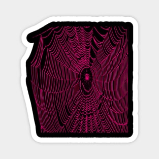 Artistic Halloween Spider Web Cobweb Doodle In Pink Magnet