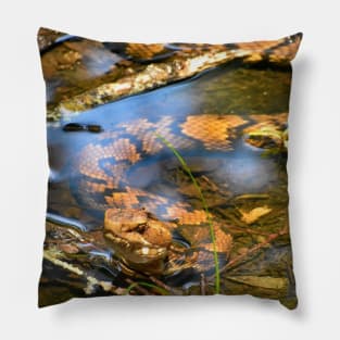 Hypo Northern Cottonmouth Print Pillow