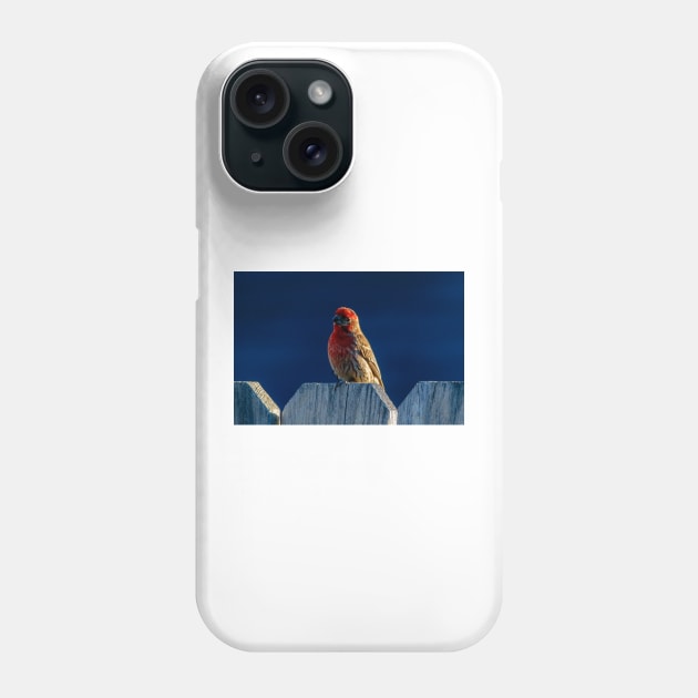 Red House Finch Phone Case by blossomcophoto